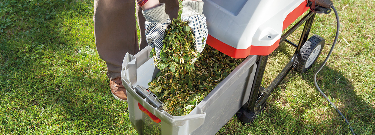 Що робити з зеленими відходами?