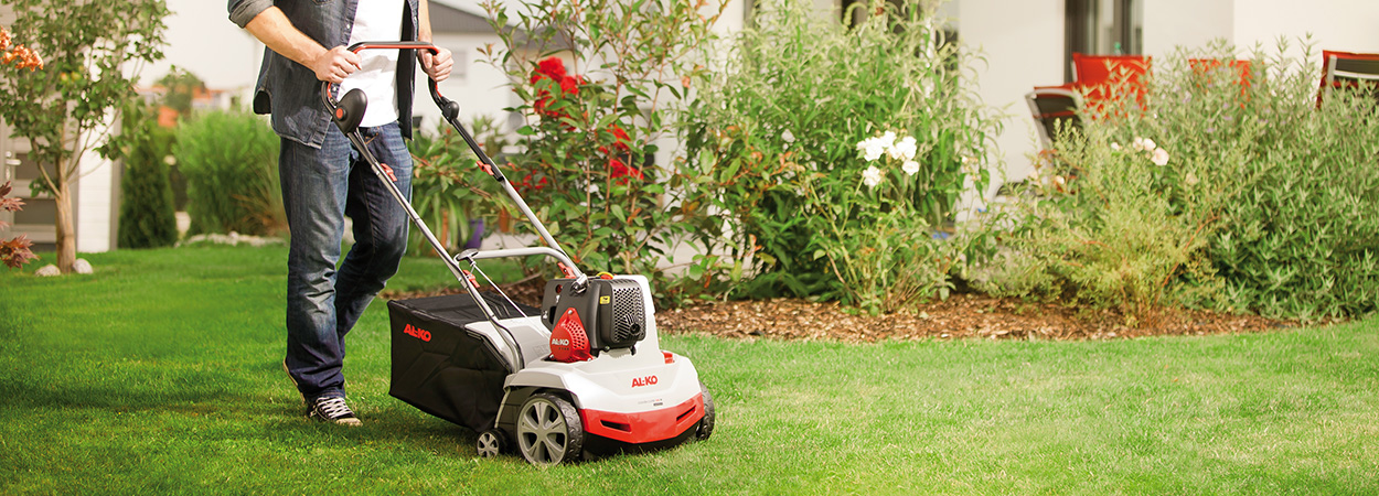 Восстановление газона после зимы: как вернуть лужайке идеальный вид