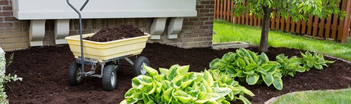 Мульчування рослин: використовуємо садові аксесуари AL-KO для прикрашування грядок і клумб