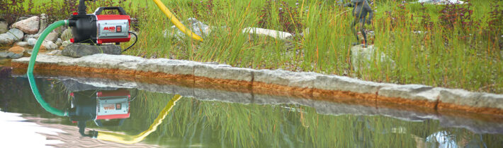 Садовый пруд своими руками: воплощаем мечту