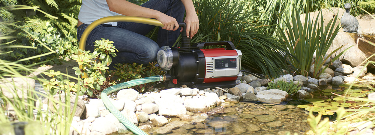Ставок на ділянці: що потрібно знати про очищення води і догляд за водоймою