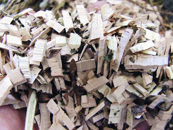 Полезные советы AL-KO: как сделать мульчу | Садова техніка AL-KO