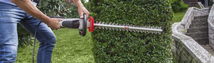 Топиарное искусство: растения и инструменты для фигурной стрижки сада