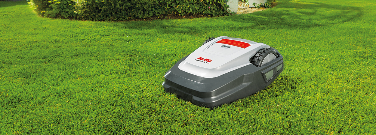 Догляд за газонами за допомогою робота-газонокосарки AL-KO. Сюжет програми «Ранок з Інтером»