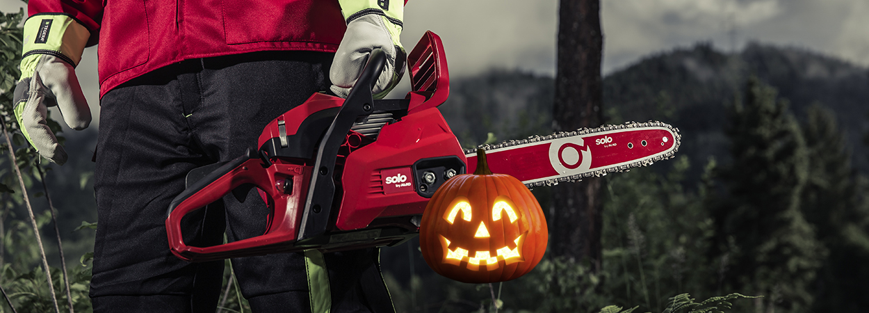 Майстер-клас від AL-KO: як зробити святковий гарбуз з дерева на Хелловін (оновлено)