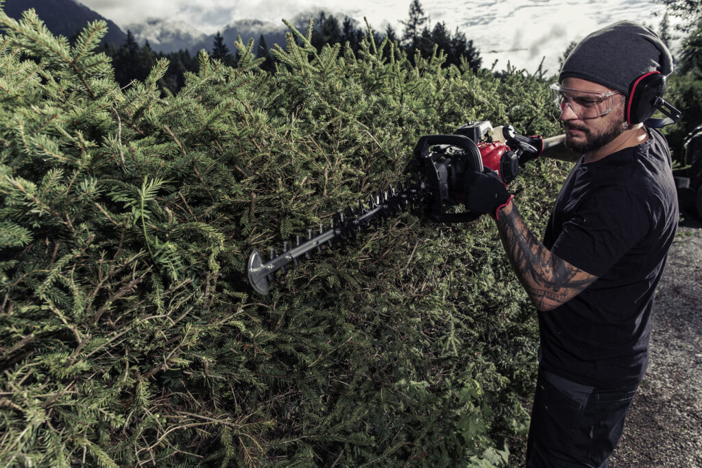 Потужні професійні інструменти: бензинові кущорізи solo® by AL-KO